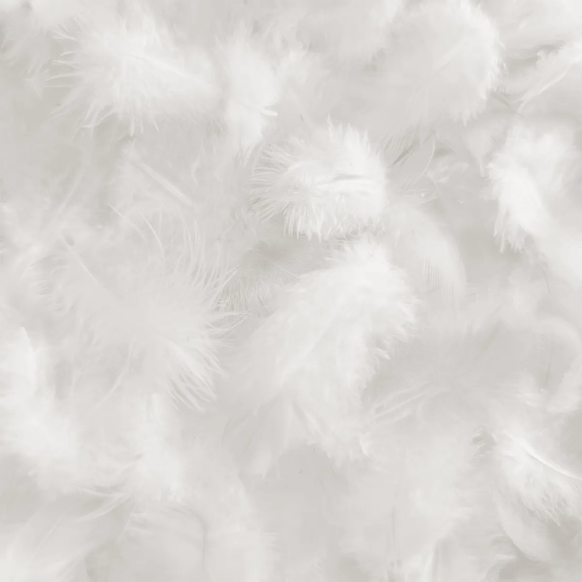 Schlossberg-Bettdecken-Kissen-Fuellmaterial-Daunen-1200x1200 Schlossberg-Bettdecken-Kissen-Fuellmaterial-Daunen-1200x1200