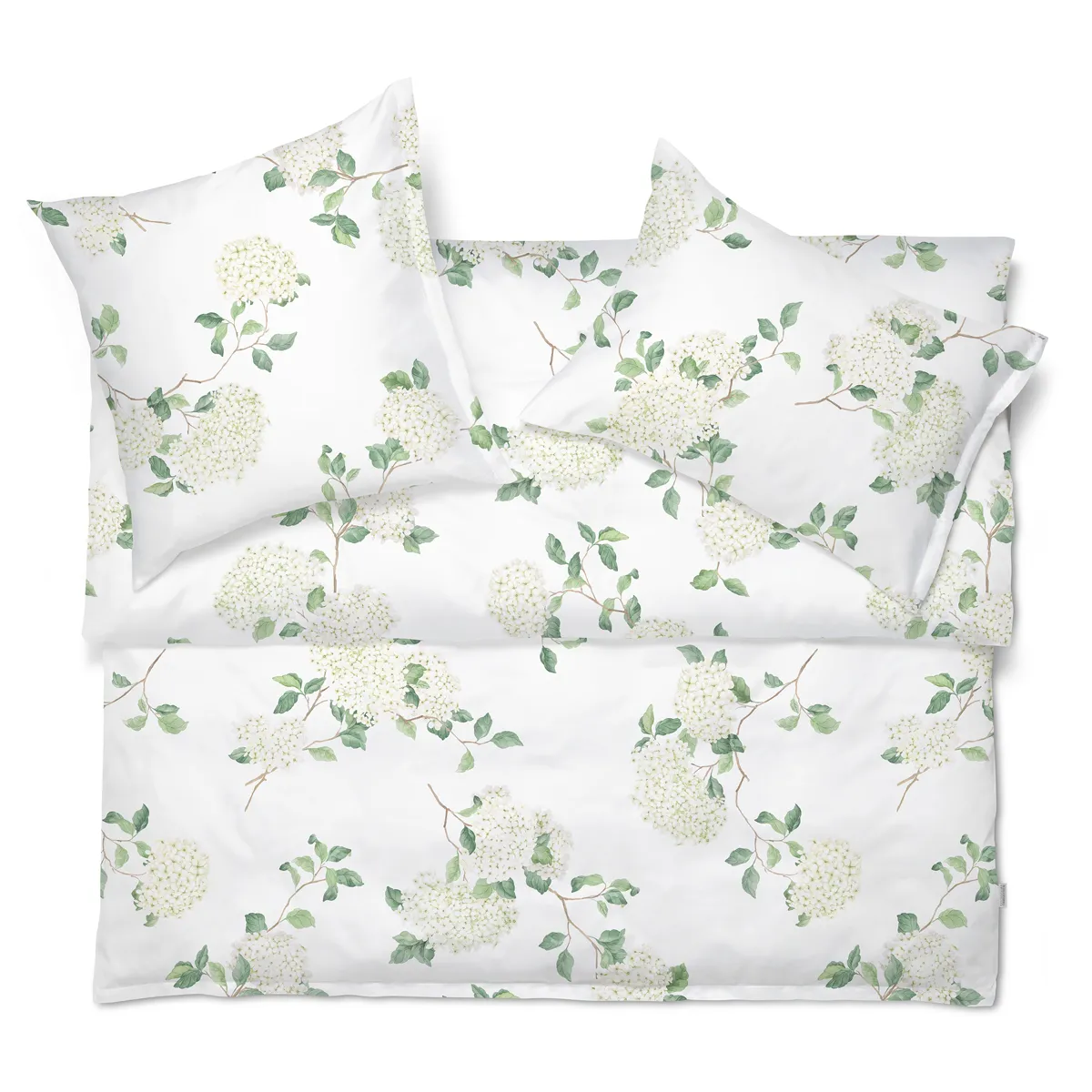 HORTENSIA HORTENSIA