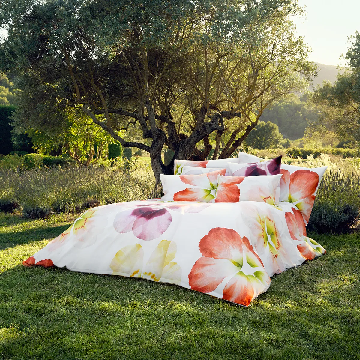 Schlossberg Bettwäsche Aurora im Freien mit floralen Motiven Hochwertige Schlossberg-Bettwäsche Aurora mit großflächigen, farbenfrohen Blumenmotiven auf weißem Stoff, stilvoll arrangiert inmitten einer idyllischen Landschaft unter einem malerischen Baum.