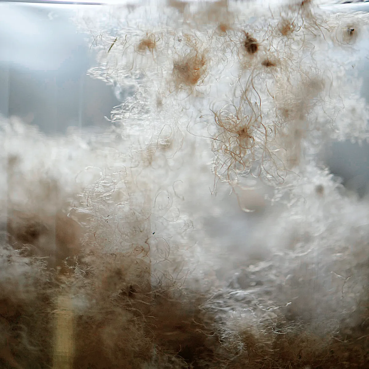 Schlossberg-Bettdecken-Kissen-Eiderdaune-1200x1200 Schlossberg-Bettdecken-Kissen-Eiderdaune-1200x1200