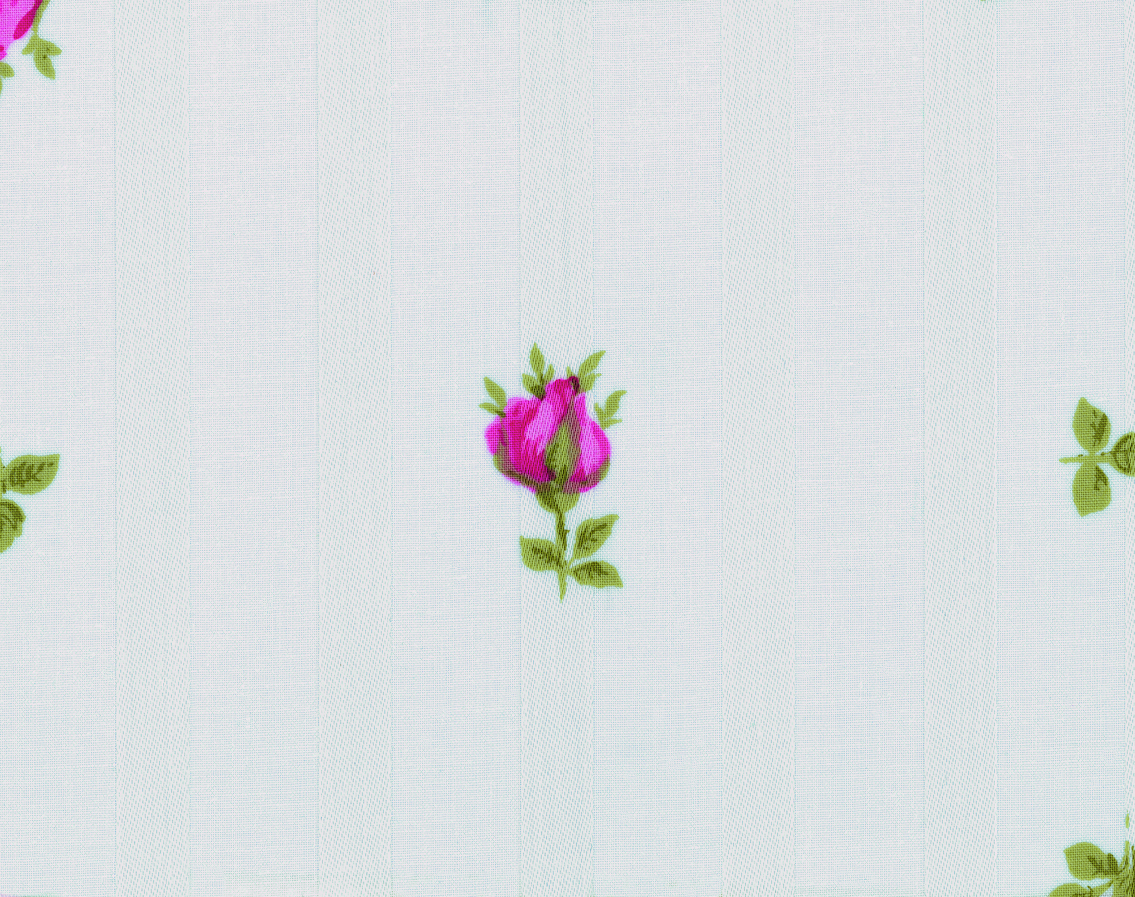 1964_erstes Druckdessin_Jeunesse